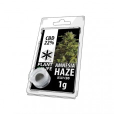 Amnesia Haze jelly CBD 22%